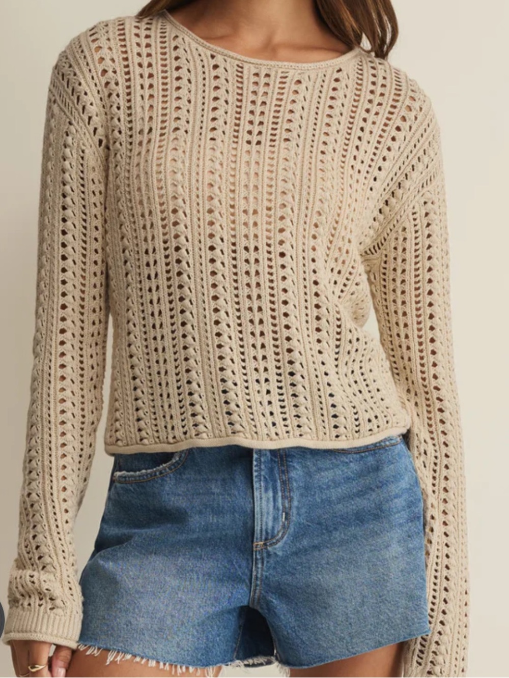 Z supply Upland crochet sweater Open-Knit Crewneck Sweater long sleeve